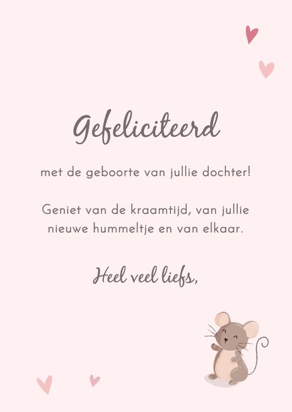 Lieve felicitatiekaart met muis en olifant geboorte meisje 3