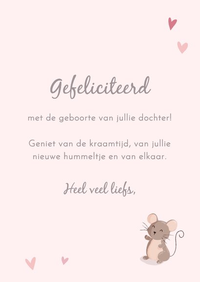 Lieve felicitatiekaart met muis en olifant geboorte meisje 3