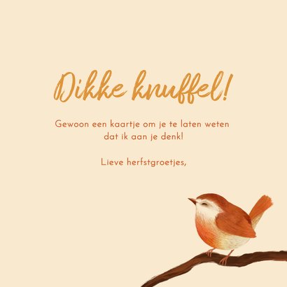 Lieve herfstgroetjes met roodborstje 3