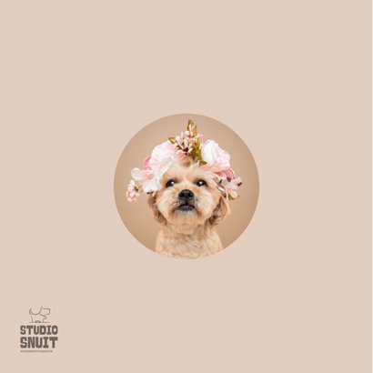 Lieve hondenkaart van klein hondje met bloemenkrans op kop 2