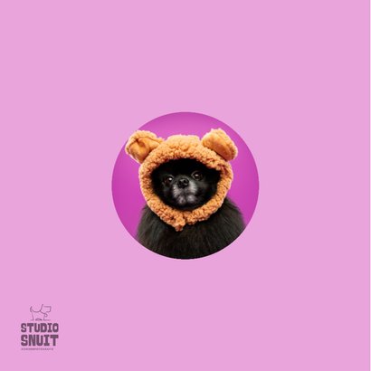 Lieve hondenkaart van zwart hondje met berenmuts en oortjes 2