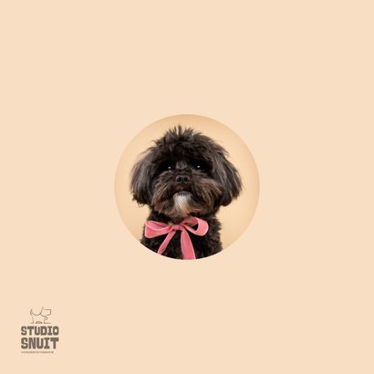 Lieve hondenkaart van zwart hondje met roze strik om nek  2