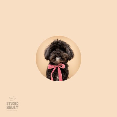 Lieve hondenkaart van zwart hondje met roze strik om nek 2