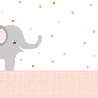 Lieve kaart met knuffel en olifant 2