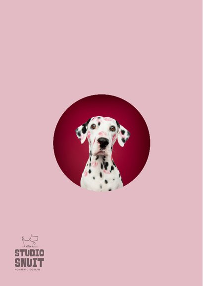 Lieve kaart van dalmatiër met 101 kusjes voor jou 2