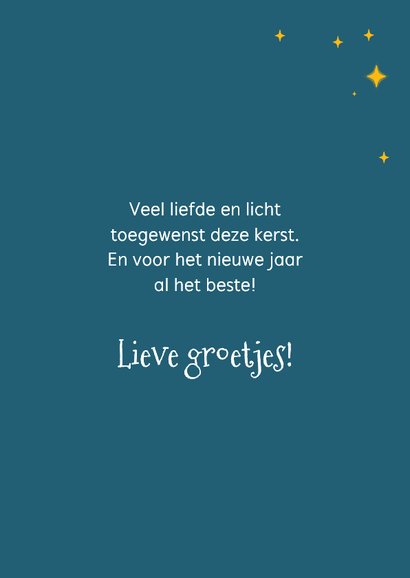 Lieve kat die kerstboom versiert 3