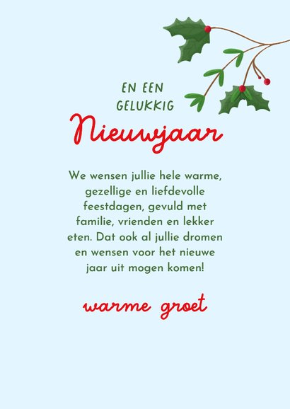 Lieve kerstkaart illustratie twee musjes in winter 3