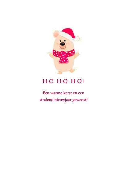 Lieve kerstkaart met ijsbeertje - Ho ho holidays 3