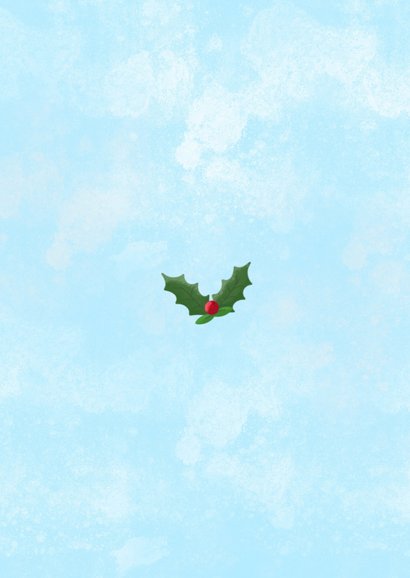 Lieve kerstkaart met illustratie van twee musjes in winter Achterkant