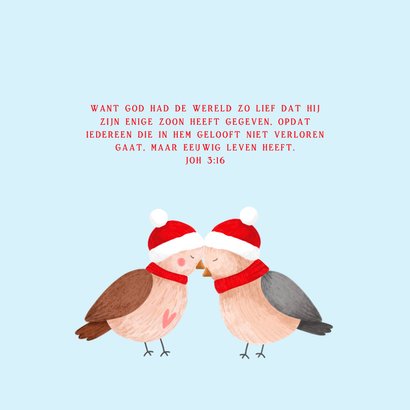 Lieve kerstkaart met illustratie van twee musjes 2