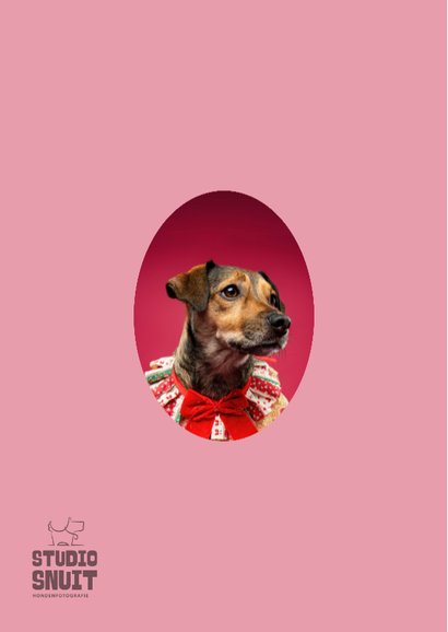 Lieve kerstkaart van hondje met kerstkraagje aan 2