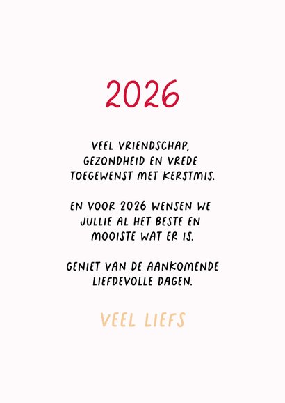 Lieve kerstkaart van hondje met kerstkraagje aan 3