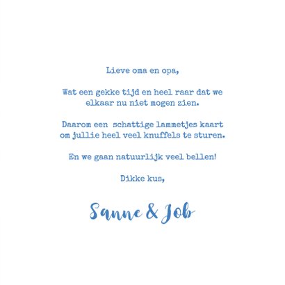 Lieve Knuffels Lammetjes - Lente 3