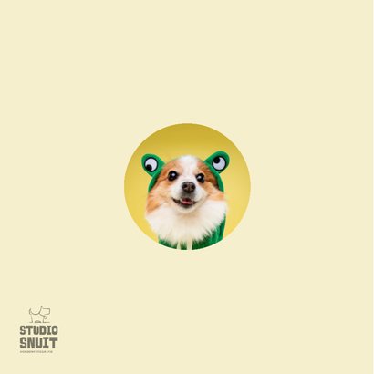 Lieve leuke beterschapskaart van hond in kikkerpakje 2