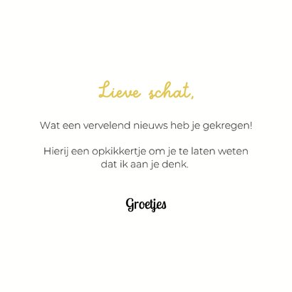 Lieve leuke beterschapskaart van hond in kikkerpakje 3