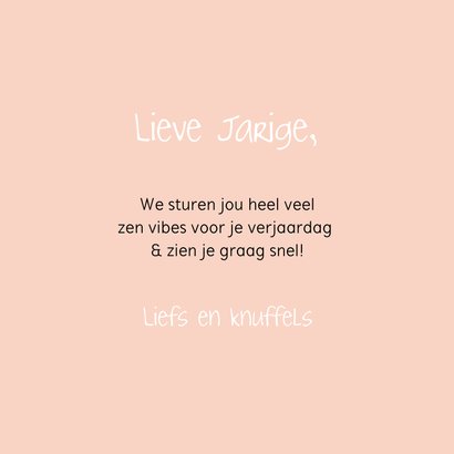 Lieve luiaard met feesthoed verjaardagskaart 3