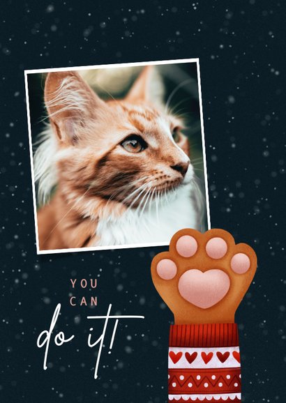 Lieve Stay Pawsitive kerstkaart kattenpootje & kersttrui 2