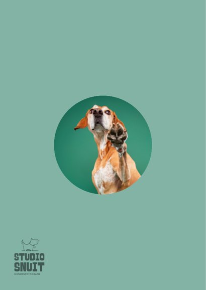 Lieve succes zet 'm op kaart van hond met pootje 2