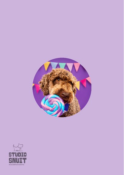 Lieve verjaardagskaart hond met lolly en slingers  2