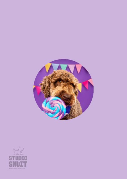 Lieve verjaardagskaart hond met lolly en slingers 2