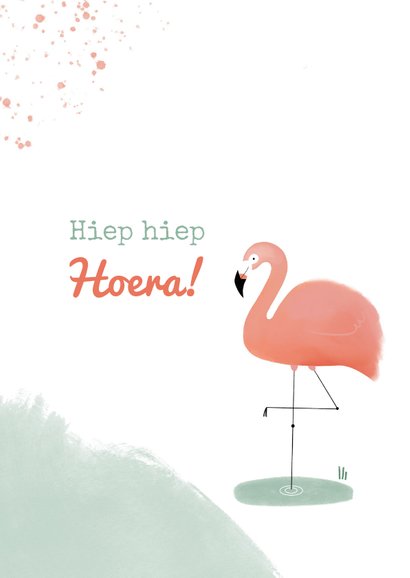 Lieve verjaardagskaart meisje roze flamingo en spetters mint 2