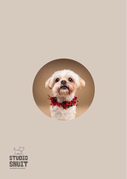 Lieve verjaardagskaart van boomer hondje met bloemenkrans 2