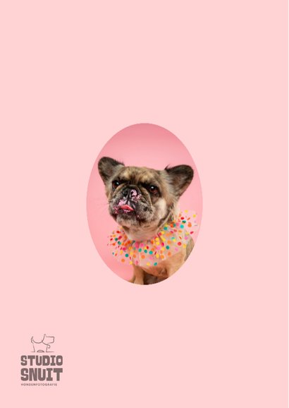 Lieve verjaardagskaart van Franse bulldog met taart 2