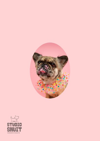Lieve verjaardagskaart van Franse bulldog met taart 2