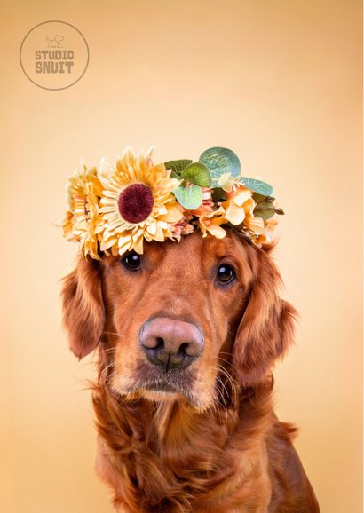 Lieve verjaardagskaart van hond met bloemenkrans 2