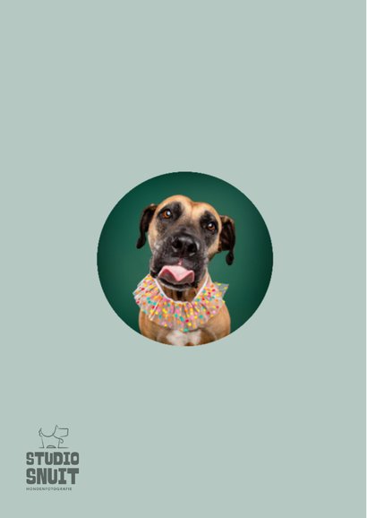 Lieve verjaardagskaart van hond met kraag en tong 2