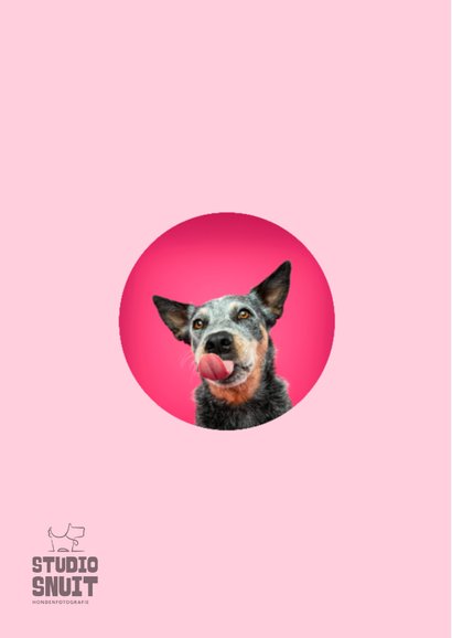 Lieve verjaardagskaart van vrolijke hond met tong uit bek 2