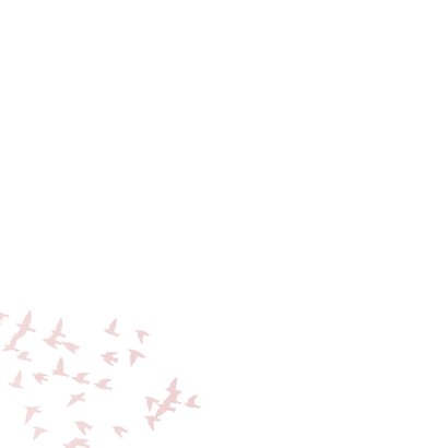 Luxe condoleance kaart vogels roze 2