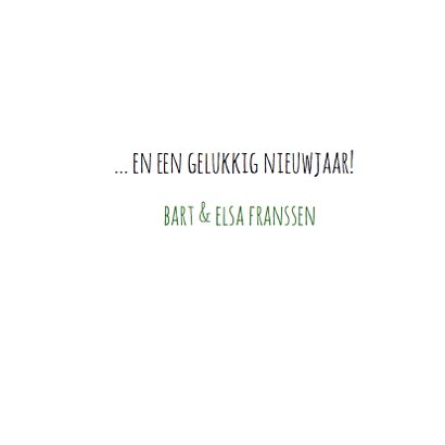 Maak een Elf van jezelf - 2 pers 3