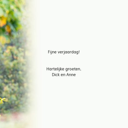 Mannetjes hert in de herfst 3