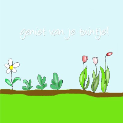 Mijn moestuintje 3