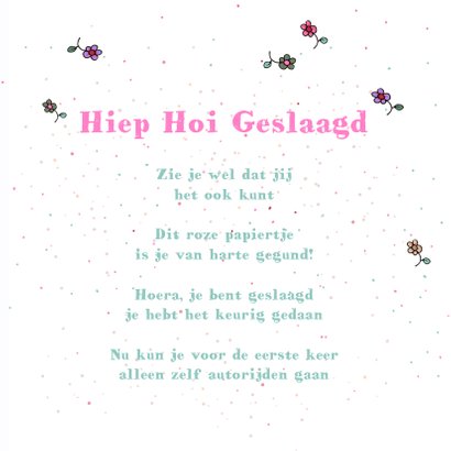 Mini rijbewijs geslaagd 3