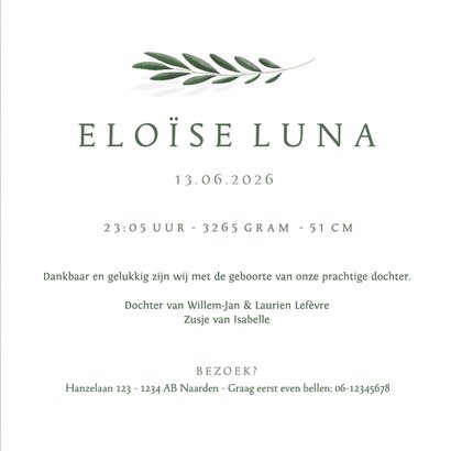 Minimalistisch geboortekaartje olijftakje 3