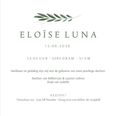 Minimalistisch geboortekaartje olijftakje 3