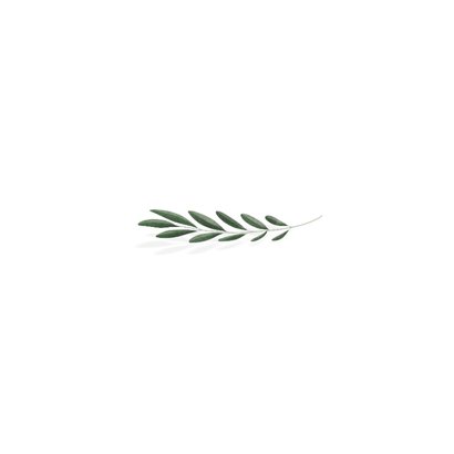Minimalistisch geboortekaartje olijftakje Achterkant