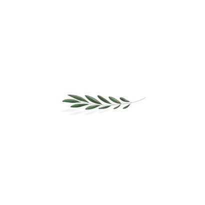 Minimalistische rouwkaart met groen olijftakje Achterkant