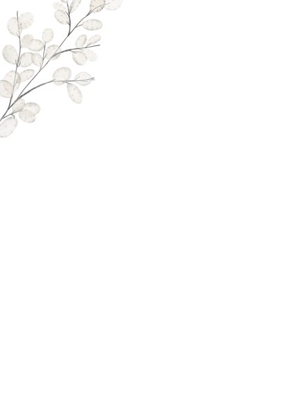 Minimalistische sterktekaart met judaspenning tak 2