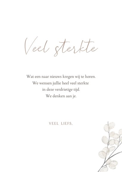 Minimalistische sterktekaart met judaspenning tak 3