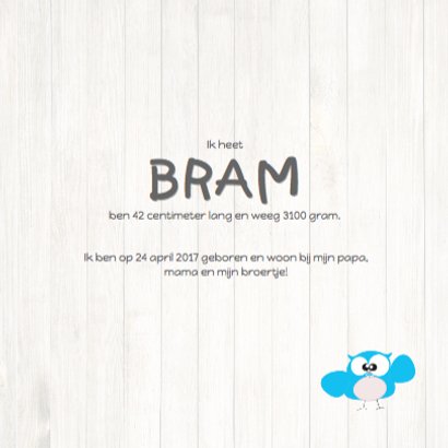 Mo Card leuke en mooie geboortekaart uil jongen 3