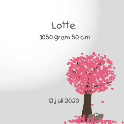 Mo Card olifant geboortekaartje hartjes ballonnen 3