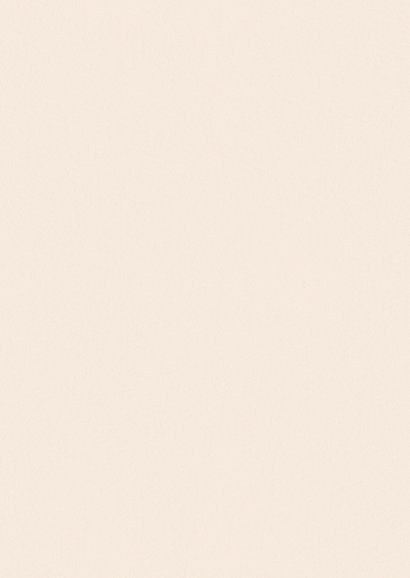 Moderne fotocollage trouwkaart bedankt beige met lijnen Achterkant
