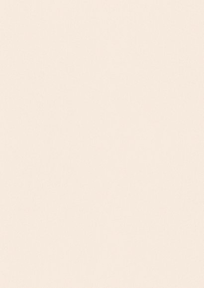 Moderne fotocollage trouwkaart bedankt beige met lijnen Achterkant