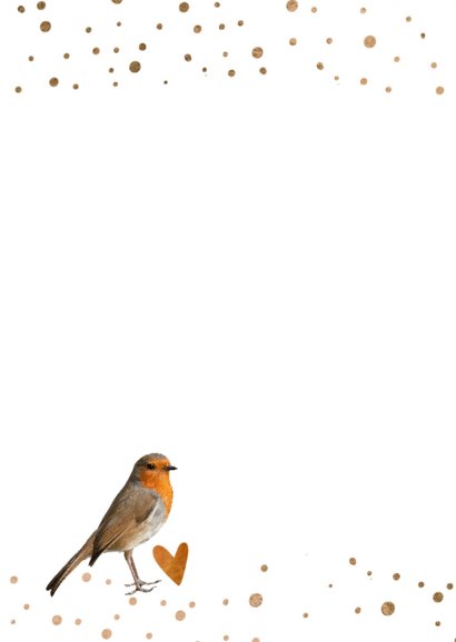 Moderne verjaardagskaart vogel - LO 2