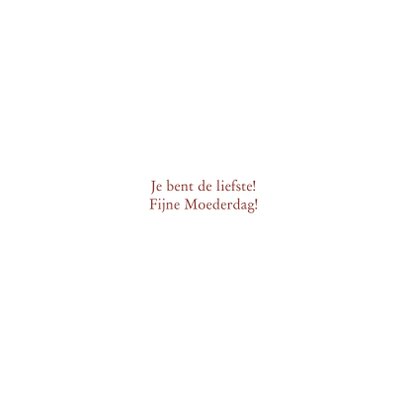 Moederdag kaart met verschillende dieren 3