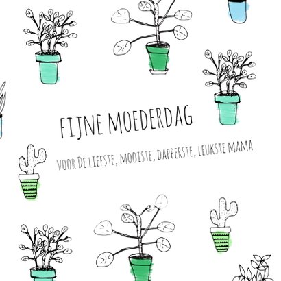 Moederdag planten - SV 2