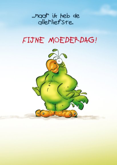 Moederdag Rocco 4 elf papegaaien 3